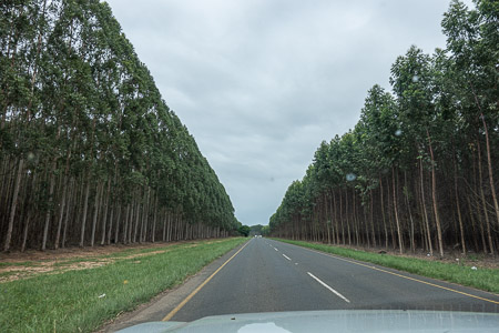 <div></div>