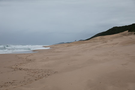 <div></div>